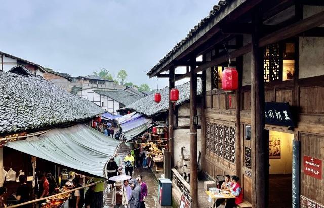 动物帮帮忙保卫家园